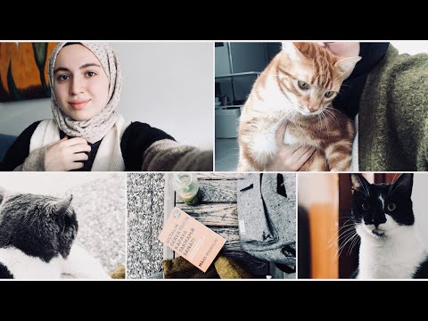 Stres ve panik atakla baş etmek için ipuçlarım, Benimle bir gün|| Vlog 16