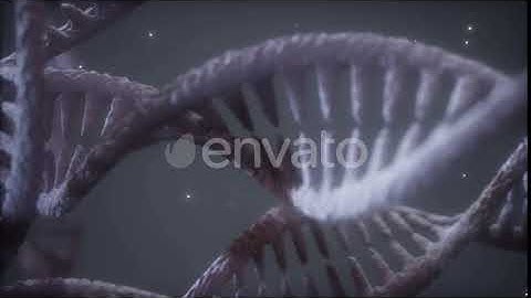 Double Helical Structure of Dna Strand Close-up Motion Graphics