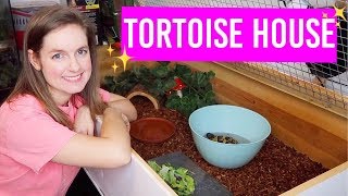 NEW Tortoise Enclosure Clean & Setup