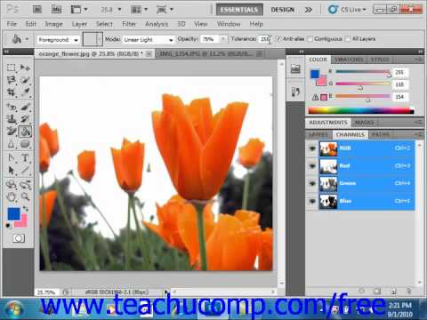 Photoshop CS Tutorial Using the Paint Bucket Tool Adobe Training Lesson .