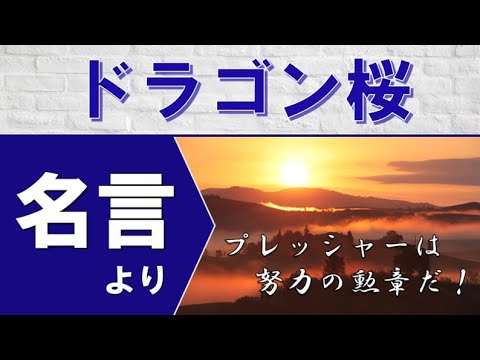 モチベーションをあげる名言 プレッシャーは努力の勲章 ドラゴン桜の名言より Youtube