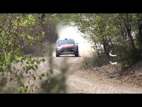 Rally Turkey 2010 WRC HD