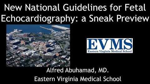 2020 Fetal Echocardiography: Normal and Abnormal Hearts - A Video CME Teaching Activity