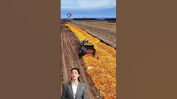 #fcnfm Agricultural Revolution: How Our Grain Dryer is Redefining Farming Productivity