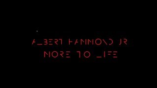 Albert Hammond Jr - More To Life (Official Video)