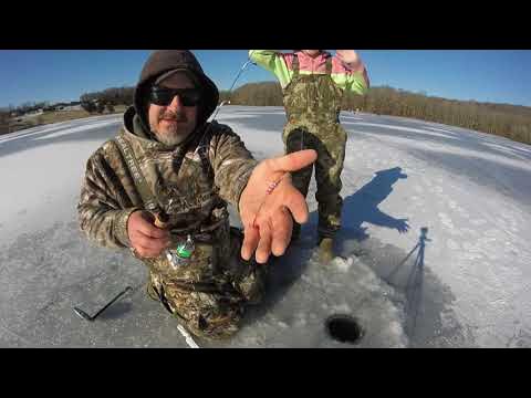 Perch talker ice fishing jig Tips and Tricks!! 