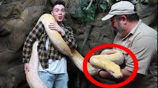 Holding a 20 FOOT SNAKE..