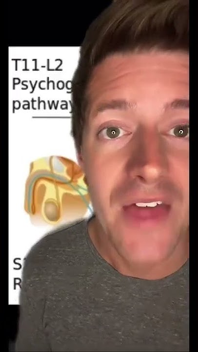 Can Paralyzed Men Still Get Erections YouTube can-paralyzed-men-still-get-erections-youtube