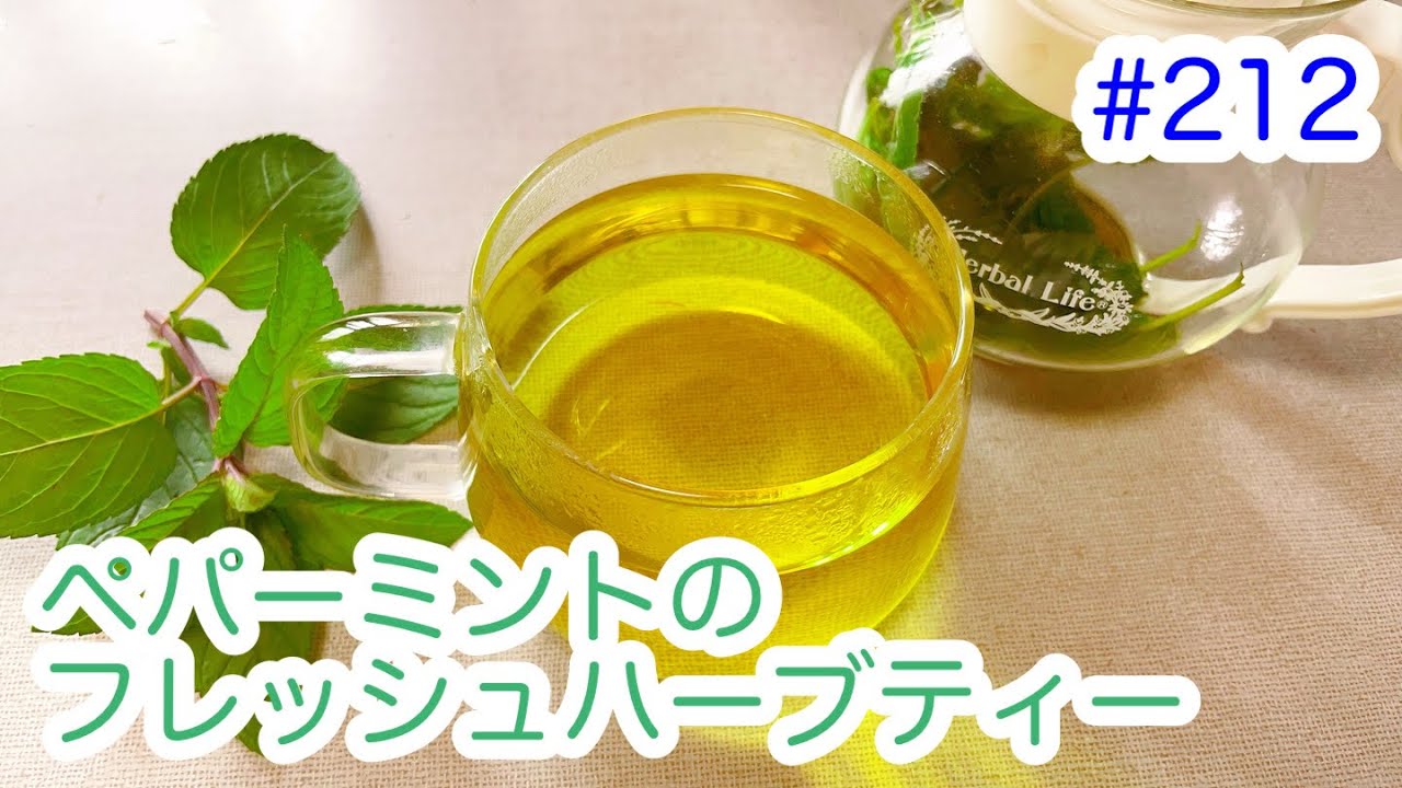 ペパーミントティー 40g Peppermint Tea[ エジプト産 ミントティー