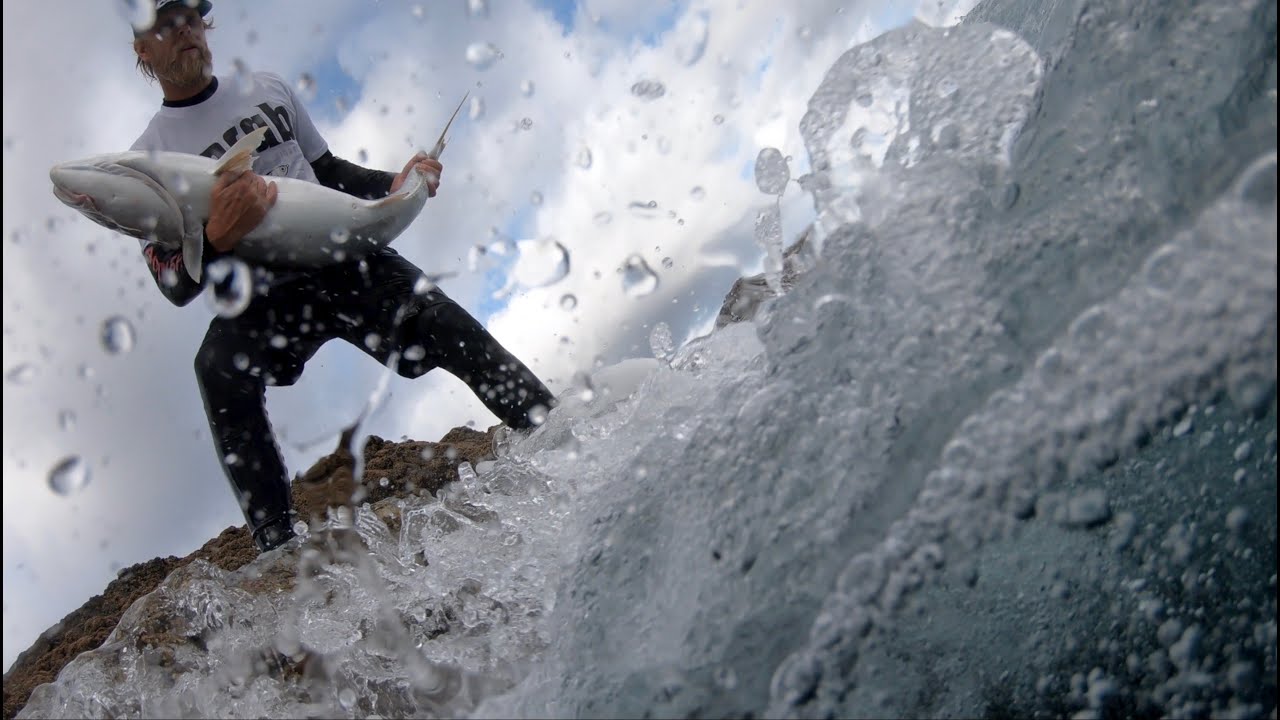 kingfish in New Zealand from the rocks. Ebb Tide X LOCAB special