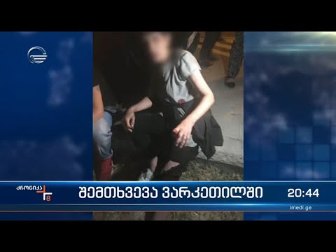 ვარკეთილში პიტბულის ჯიშის ძაღლი სამ ადამიანს თავს დაესხა