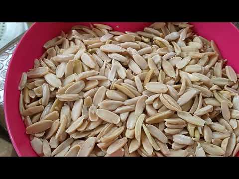 Pili nut, yummy 😋