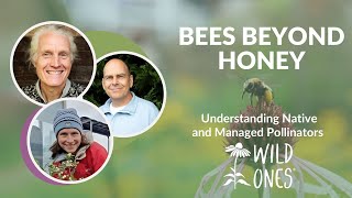 Bees Beyond Honey: Understanding Native and Managed Pollinators