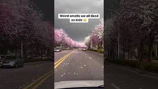 I still like those smells #rainsmell #newbooks #rain 🪷🪻🌹🌸☔️🌧️🌴🌳