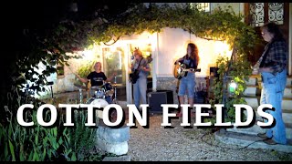 Cotton Fields - Creedence Clearwater Revival Full Cover with Dominique Cotten chords