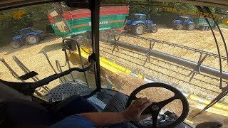 Cab View | New Holland CR 8.90 REVELATION | Barley Harvest | Trebbiatura Orzo