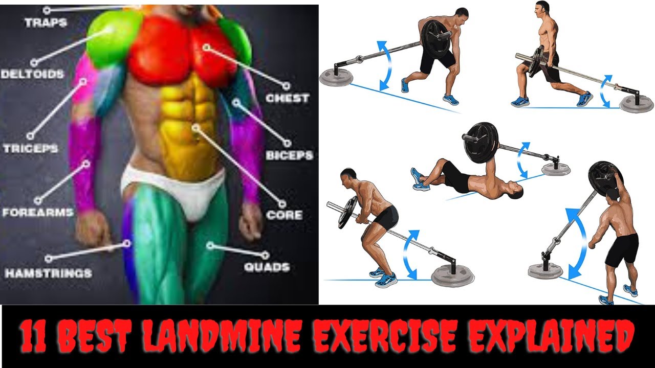 Landmine Workout Explained 11 Best Workout With Landmine Full