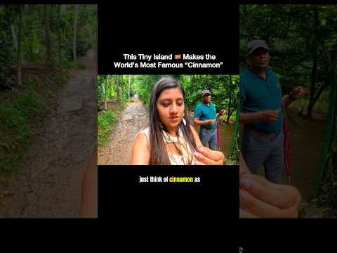 Why Sri Lanka is CINNAMON 🌿 CAPITAL OF THE WORLD  🇱🇰