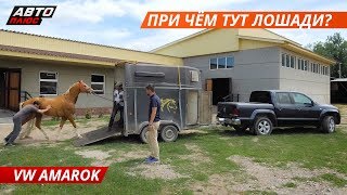 Экспедиция по Казахстану на VW Amarok. Часть 3 | Своими глазами