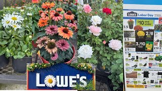 LOWES BEST NEW PLANTS-ARRIVALS FOR LOWES NEW PLANT FALL SHIPMENT IS SHIPMENT IS HERE