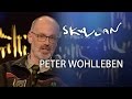 "The Hidden Life of Trees" Peter Wohlleben | Interview | SVT/NRK/Skavlan