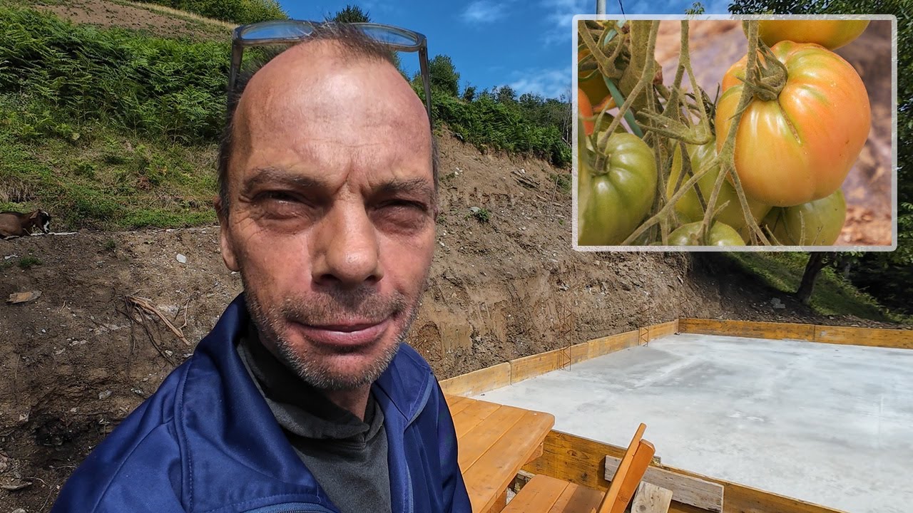 Dominko pravi siranu, za njegov paradajz prava otimačina