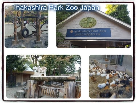 Inakashira Park Zoo Japan