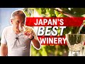 Japan’s Best Winery | I Drank Too Much this Video