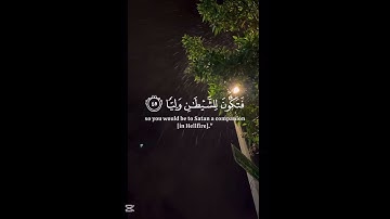 تلاوة خاشعة من سورة مريم