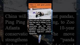 China to send Giant  pandas to Atlanta #geopolitics #breakingnews #youtubeshorts #chinanews #panda