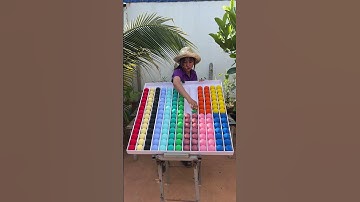 Mindset Mastery Balls Sort IQ Puzzle and Quick Thinking Challenge   Balls Sorting Puzzle Game An IQ