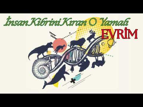 The Patchwork Evolution That Shattered Human Arrogance - YouTube