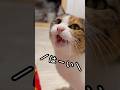 今日のおしゃべり小町。春が来た？！