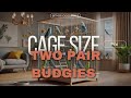 Cage Size For Two Pair of Budgies | The Budgie Diaries