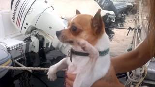 Leo macarena.wmv