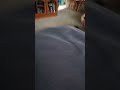 sub plz