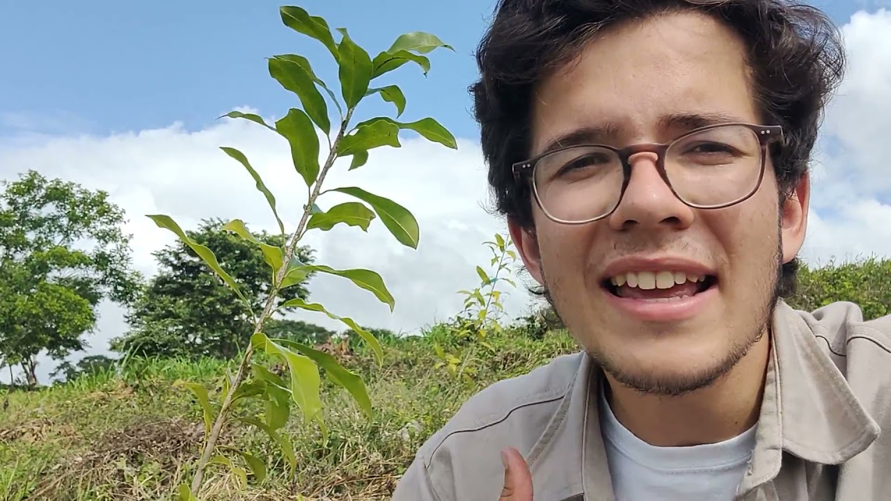 Vitakraft plant 7.500 bomen!