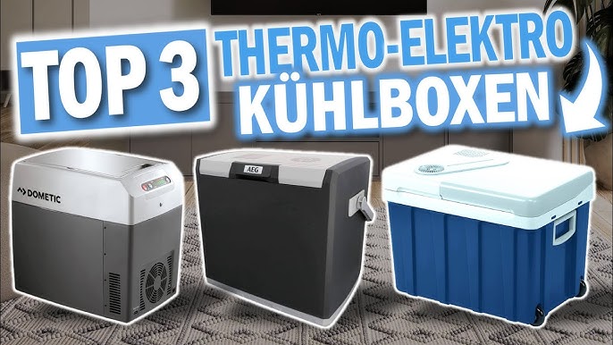 Xcase Warmhaltebox elektrisch: Thermoelektrische Kühlbox und