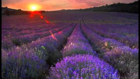Ann O'Brien Meditation - Clearing and Bringing In ...