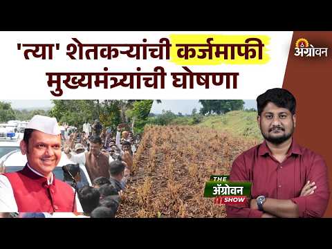 Farmer Loan Waiver : मुख्यमंत्र्यांनी कोणत्या शेतकऱ्यांची कर्जमाफी करण्याची घोषणा केली? | Agrowon