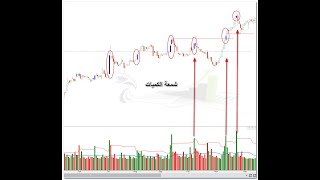 شمعة الكميات - شمعة الهامور + المؤشر الخاص بها