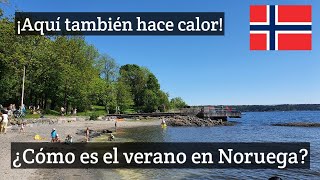 Llegó el verano a 🇧🇻...¡y es una maravilla!