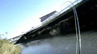 20091206-2 多摩川支流 鯉フライ