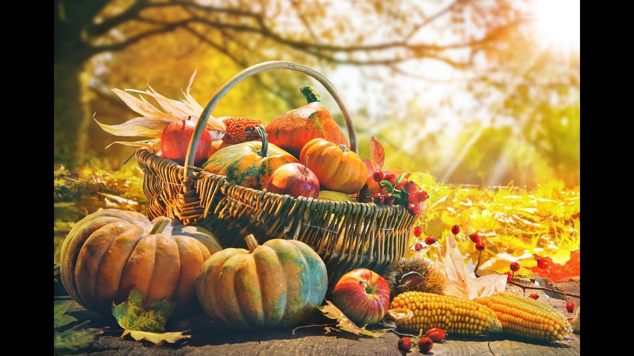 АНОНС! Семейный online-календарь "Осенины"