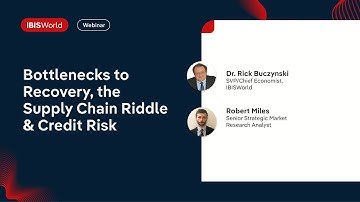 Bottlenecks to Recovery, the Supply Chain Riddle & Credit Risk - What You Should Really Worry About