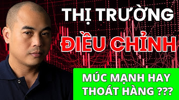 Nhịp Đập Thị Trường | Làm Gì Khi Thị Trường ĐIỀU CHỈNH ?
