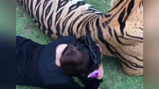 Nur Risteena Artis Dan Harimau