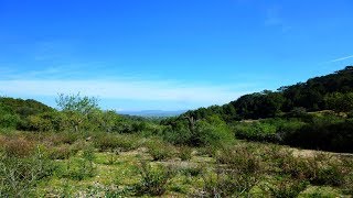 Idyllic building plot near Son Macià - Mallorca Real Estate