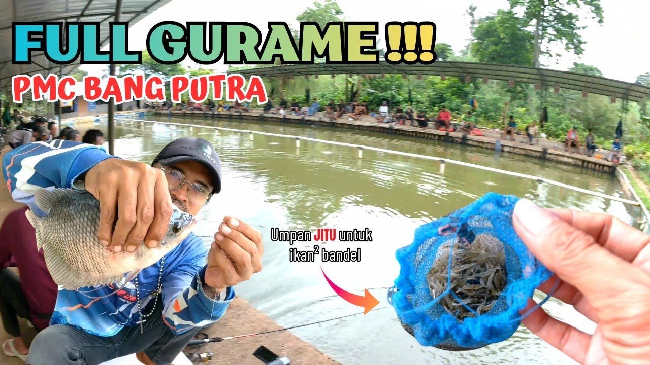 MANCING GURAME‼️Hampir ZONK jika gak pakai umpan ini