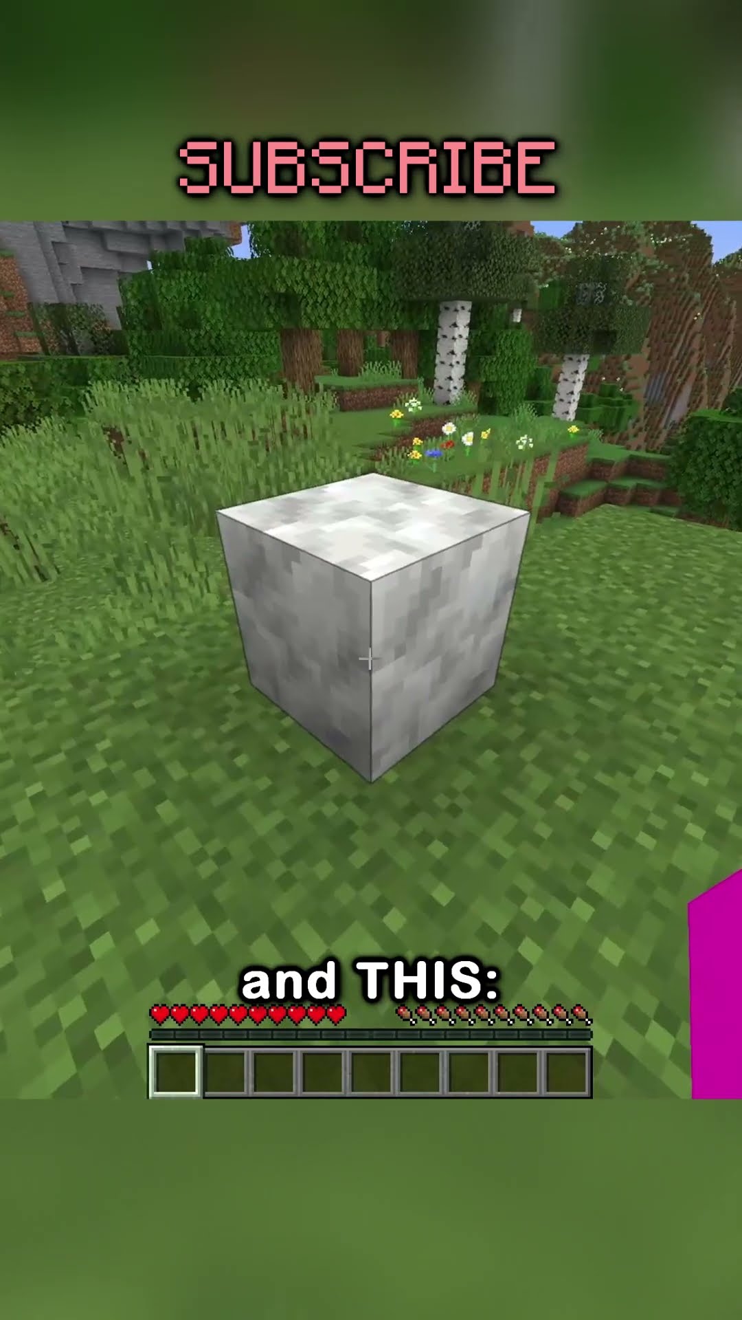 minecraft block trivia
